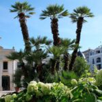 Arcachon (commune de Port de Plaisance)