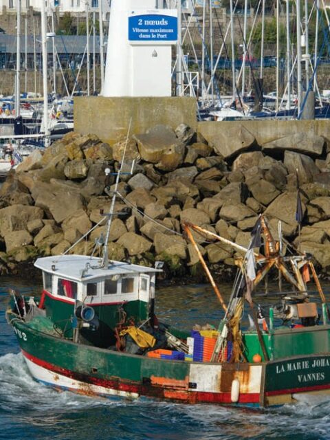 Bassin à flot du Mané, photo Google (Port Haliguen)