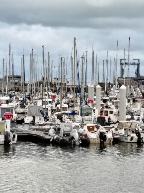 Bassin Napoléon, photo Google (Andrey Mihal)