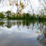 Halte Nautique d'Artaix, photo Google (Rudolf)