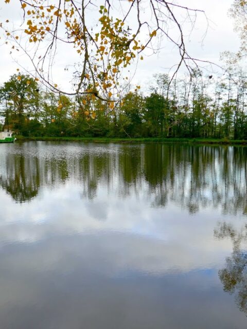 Halte Nautique d'Artaix, photo Google (Rudolf)