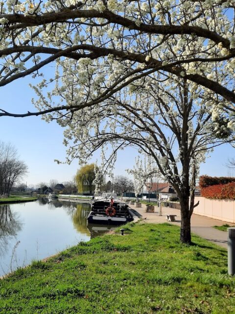 Halte nautique de Fragnes, photo Google (Porte Verte : Halte Nautique - Location Vélos)