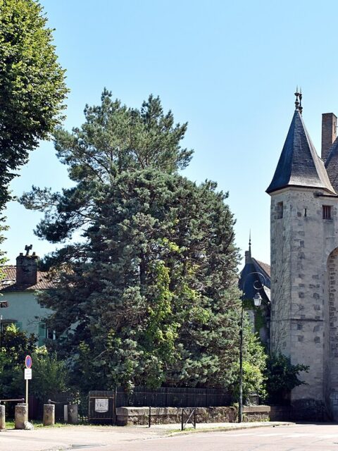 Halte Nautique de Villeneuve sur Yonne, photo commune (Villeneuve-sur-Yonne)