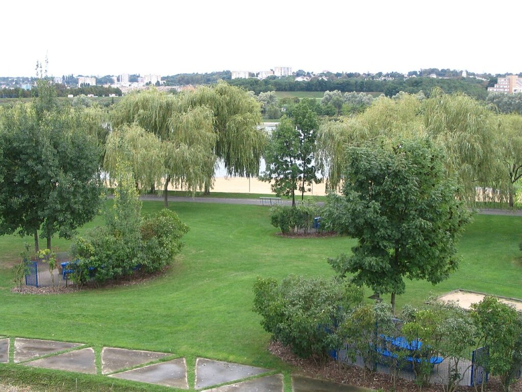 La Seine, photo commune (Valenton)