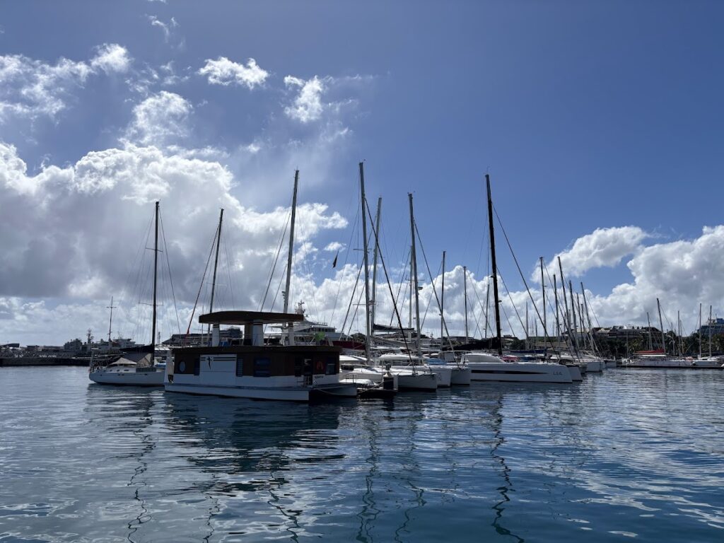 Marina de Papeete, photo Google (Dean Liaw)