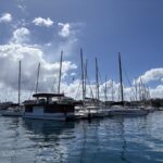 Marina de Papeete, photo Google (Dean Liaw)