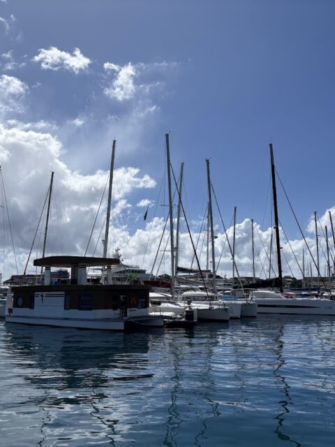Marina de Papeete, photo Google (Dean Liaw)