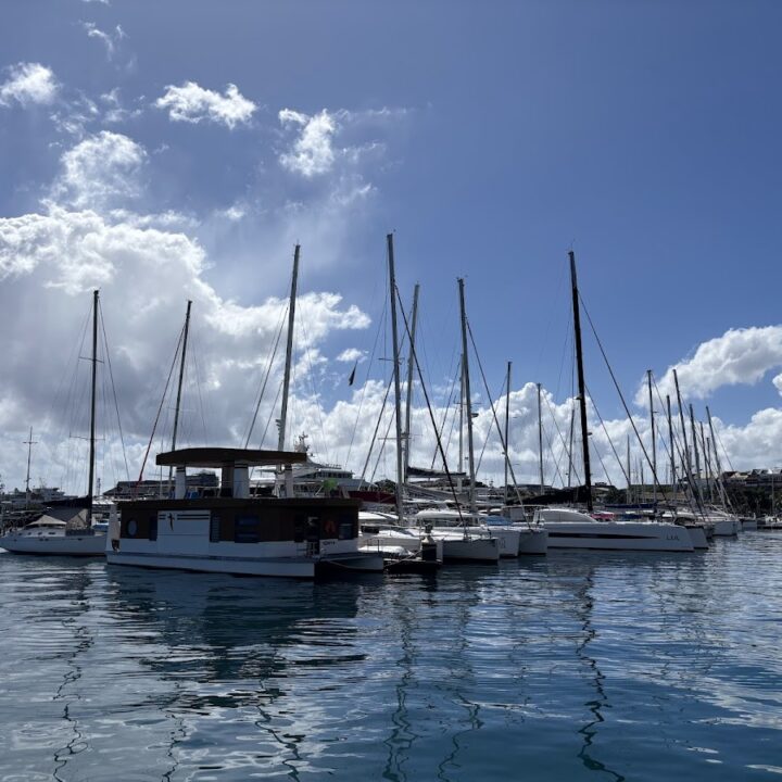 Marina de Papeete, photo Google (Dean Liaw)