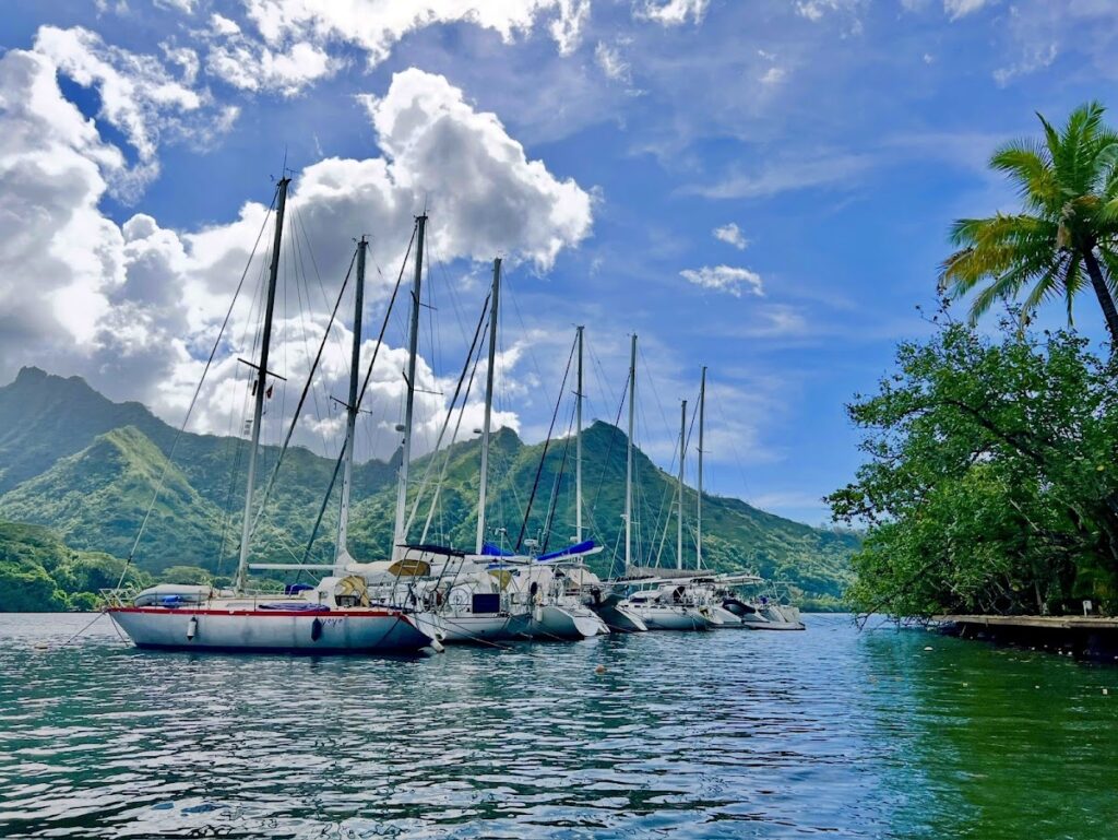 Marina de Papetoai, photo Google (Anne-Sophie Agogué)