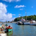 Marina du François, photo Google (Cath C.)