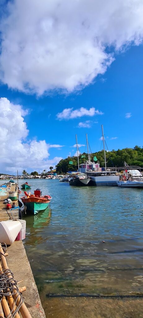 Marina du François, photo Google (Cath C.)