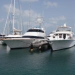 Marina Fort Louis, photo Google (Marina Fort Louis)