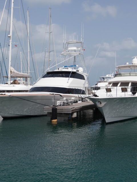 Marina Fort Louis, photo Google (Marina Fort Louis)