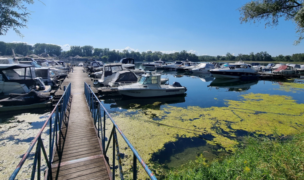 Nautic-Port Offendorf, photo Google (NAUTIC PORT - Port de Plaisance - Yamaha Shop - Uship Accastillage Strasbourg Offendorf - Location de bateaux sans permis)