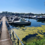 Nautic-Port Offendorf, photo Google (NAUTIC PORT - Port de Plaisance - Yamaha Shop - Uship Accastillage Strasbourg Offendorf - Location de bateaux sans permis)