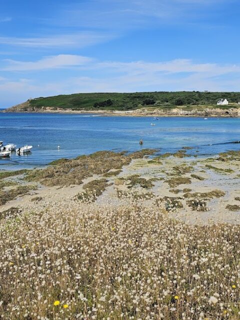 Port-Abri du Loch, photo Google (Julien Delacour)