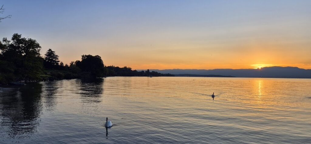 Port Chantrell, photo Google (Xavier C)