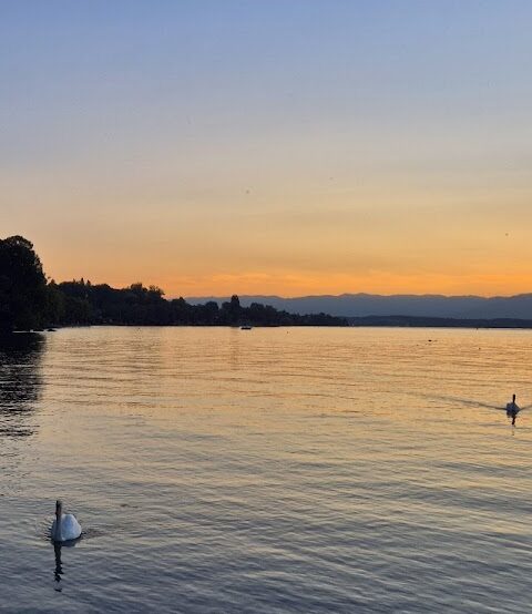 Port Chantrell, photo Google (Xavier C)