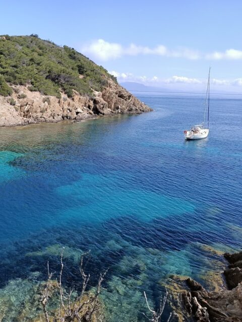 Port Cros, photo Google (Jean-Pierre Denoyelle)