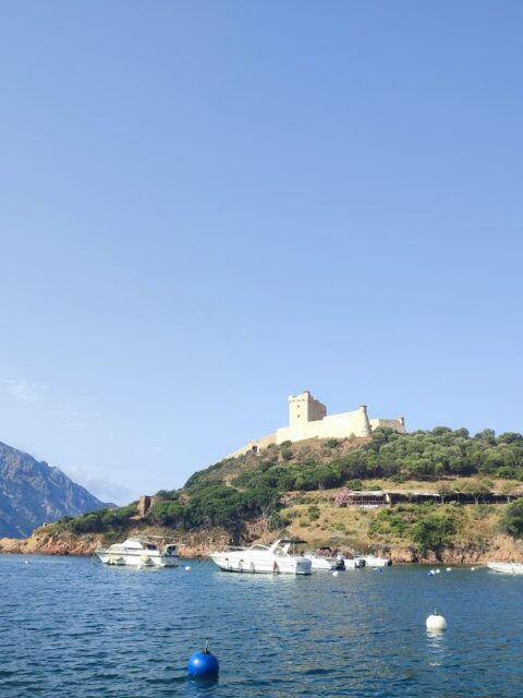 Port de Girolata, photo Google (SAB M.P.)