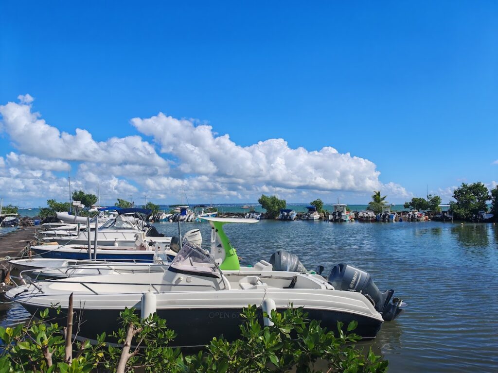 Port de Goyave, photo Google (Christophe Deledicque)