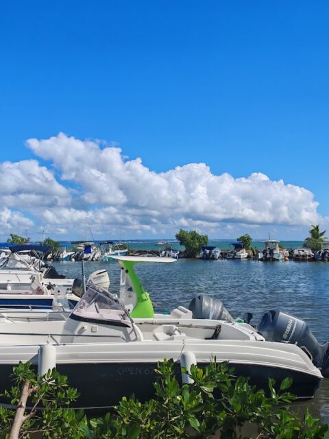 Port de Goyave, photo Google (Christophe Deledicque)