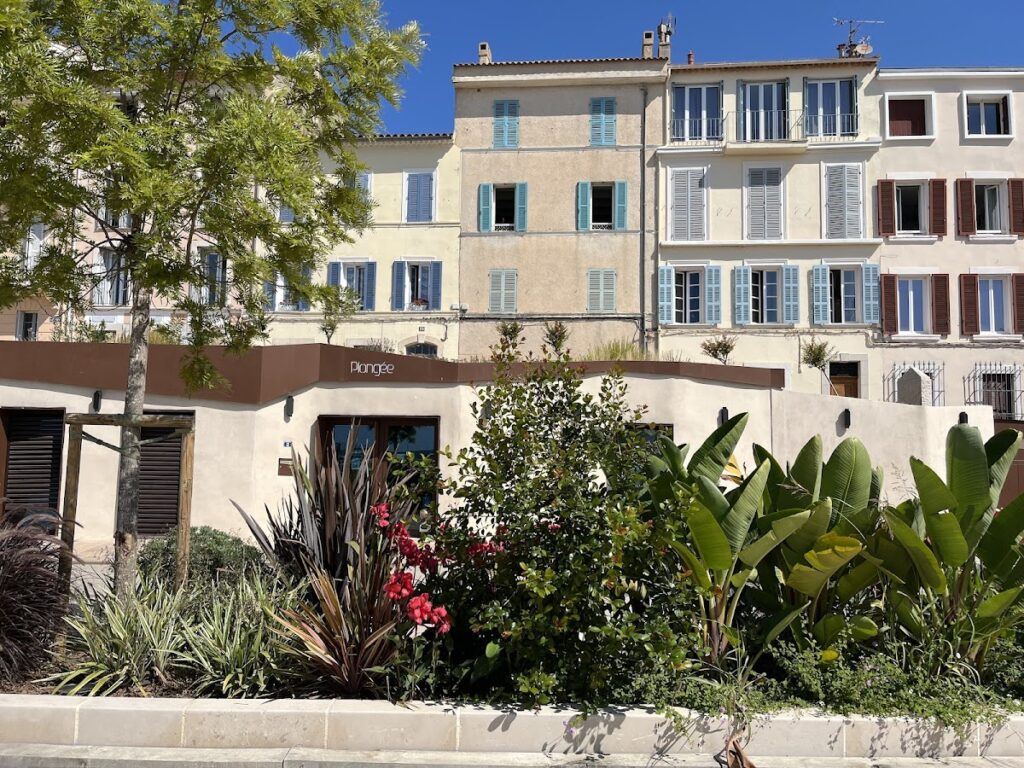 Port de l'Aricot, photo Google (Saltador)