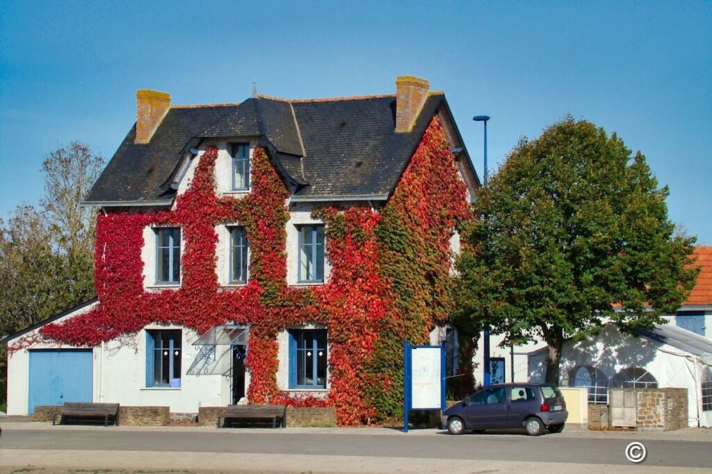 Port de la Côte, photo Google (Ric Ofeu)