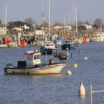 Port de La Faute-sur-mer, photo commune (L'Aiguillon-la-Presqu'île)