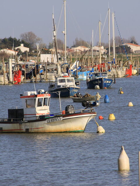Port de La Faute-sur-mer, photo commune (L'Aiguillon-la-Presqu'île)