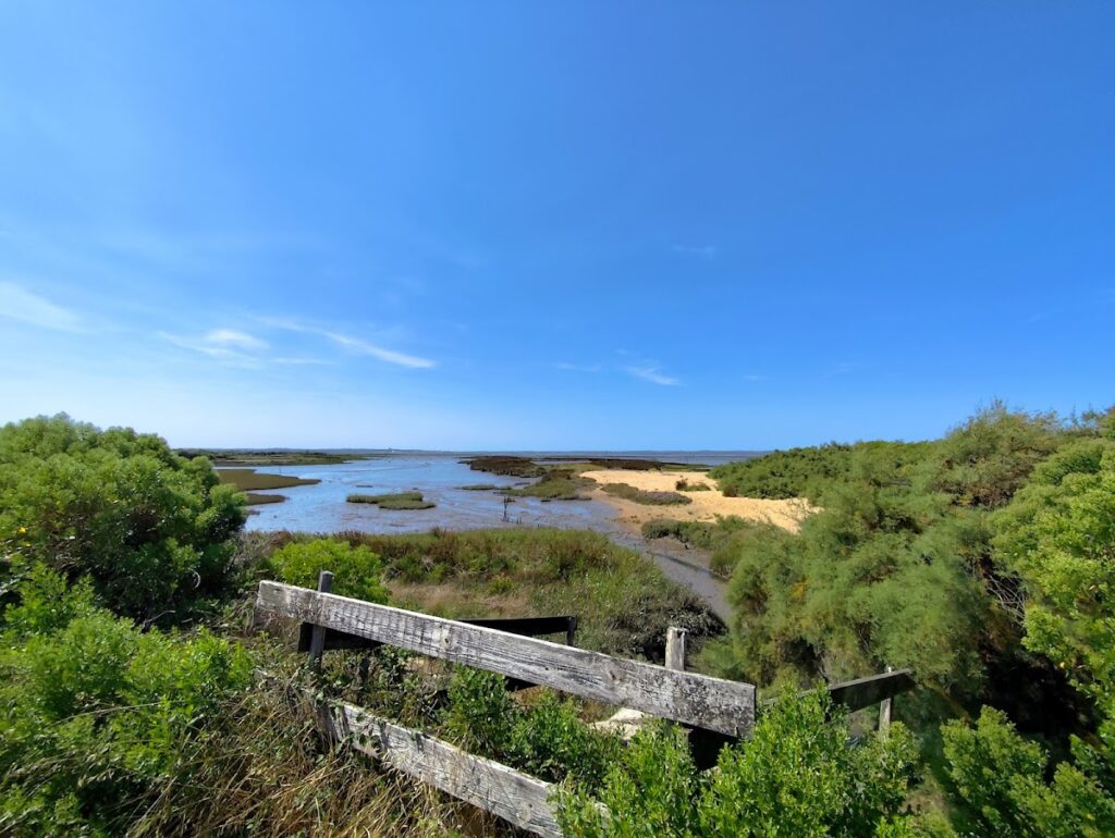 Port de la Mole, photo Google (Best of Fred)