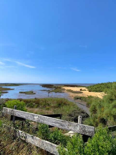Port de la Mole, photo Google (Best of Fred)