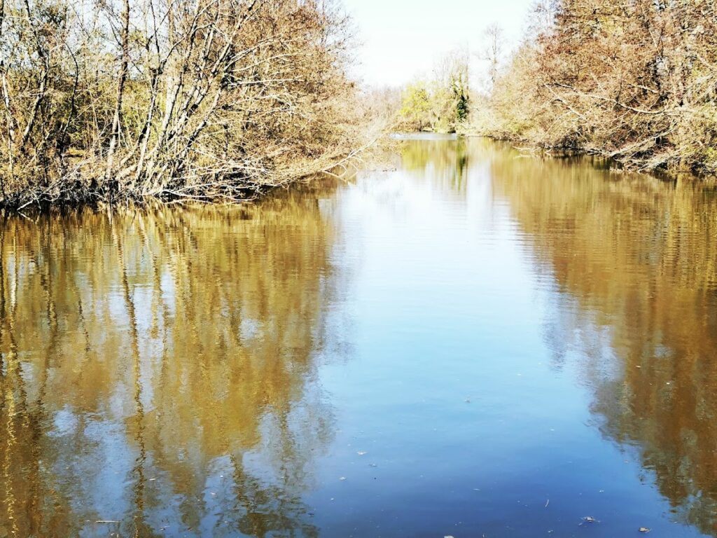 Port de la Rivière, photo Google (Charlène nou-dau)