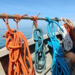 Port de Noimoutier en l'Île, photo Google (Port de Noirmoutier)