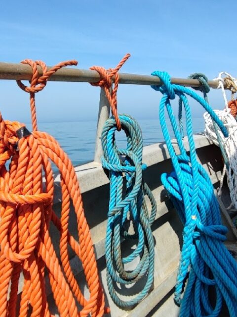 Port de Noimoutier en l'Île, photo Google (Port de Noirmoutier)