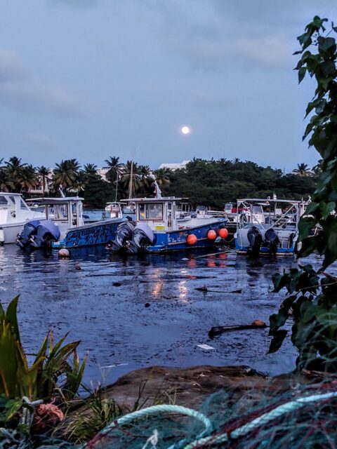 Port de Pêche de Saint Felix, photo Google (Philippe CHAILLOUX)