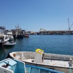 Port de pêche de Saumaty, photo Google (Didier marino)