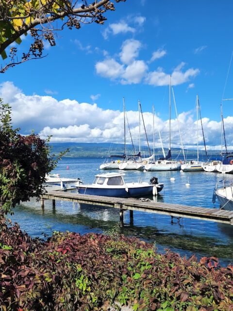 Port de Plaisance d'Yvoire, photo Google (ReVital Matzliach)