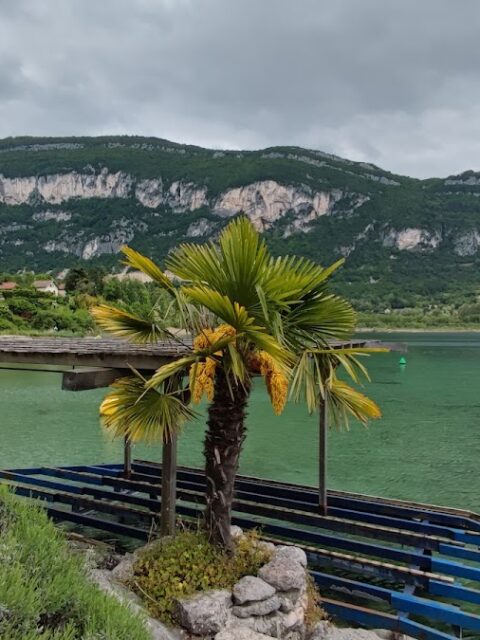 Port de plaisance de Châtillon, photo Google (Hang Nguyen)