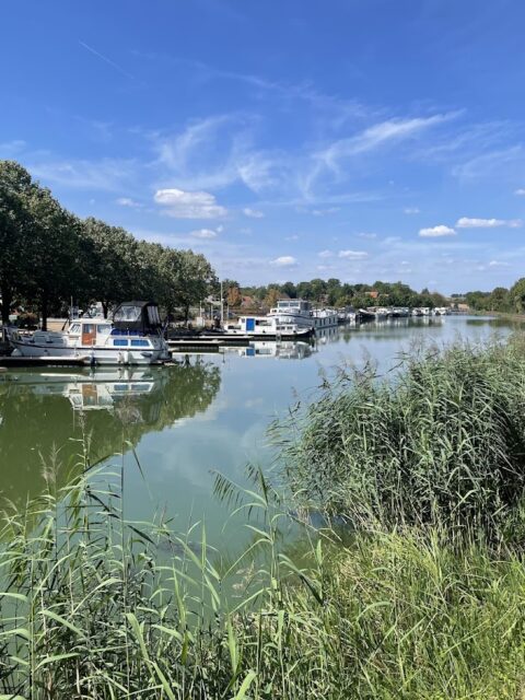 Port de Plaisance de Harskirchen, photo Google (ADRIEN DORSCHNER)