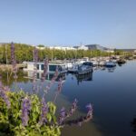 Port de Plaisance de Nancy-Saint-Georges, photo Google (Guido Oswald)
