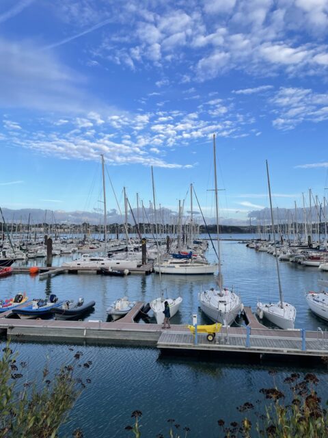 Port de plaisance du Moulin Blanc, photo Google (Eric Garnier Perso)