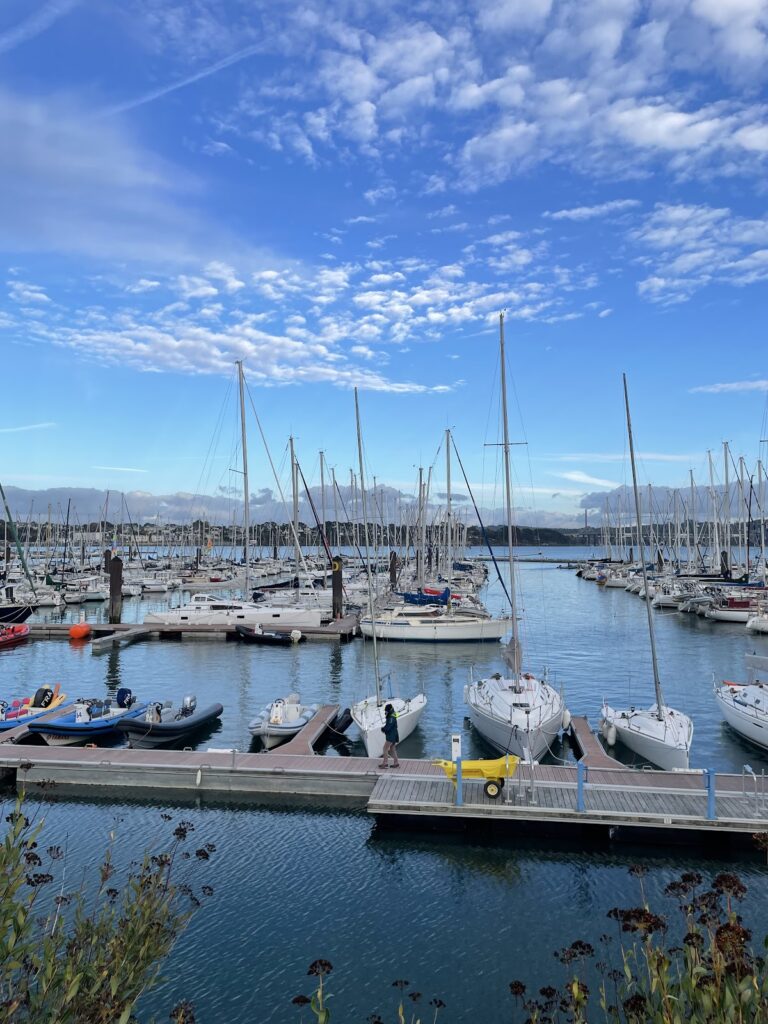 Port de plaisance du Moulin Blanc, photo Google (Eric Garnier Perso)
