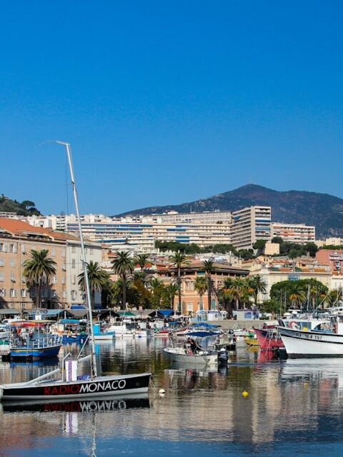 Port de plaisance Tino Rossi, photo Google (Ger Metselaar)