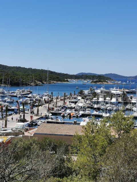 Port de Porquerolles, photo Google (lucile Baldinho Morazzani)