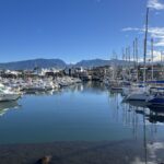 Port de Saint-Pierre, photo Google (Jean “Jean-René” 974)