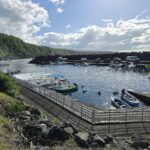 Port de Saint-Rose, photo Google (Julien DUFAUT)