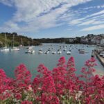 Port de Sauzon, photo Google (Vigneron Annick)