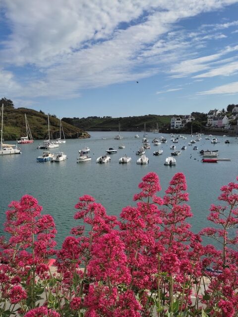 Port de Sauzon, photo Google (Vigneron Annick)