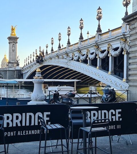Port des Champs-Élysées, photo Google (Laura Cohen)